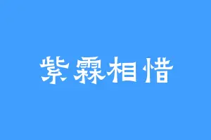紫霖相惜