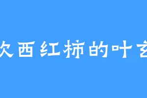 喜欢西红柿的叶玄心
