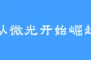 从微光开始崛起