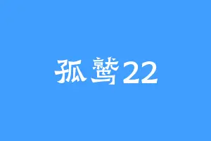 孤鹫22