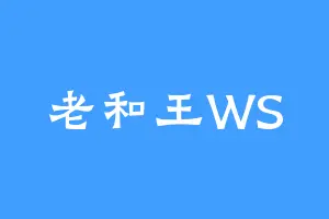 老和王WS