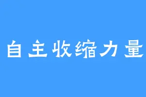 自主收缩力量