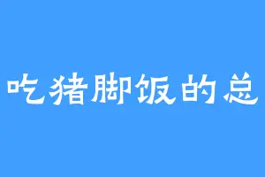 爱吃猪脚饭的总裁