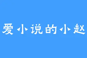 爱小说的小赵