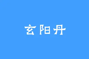 玄阳丹