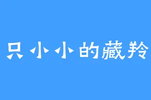 一只小小的藏羚羊