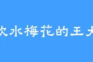 喜欢水梅花的王大少