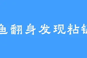 咸鱼翻身发现粘锅了