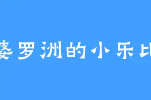 婆罗洲的小乐比
