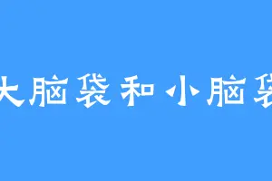 大脑袋和小脑袋