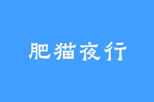 肥猫夜行