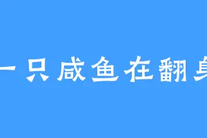 一只咸鱼在翻身