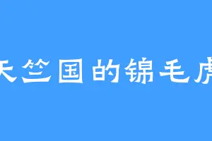 天竺国的锦毛虎