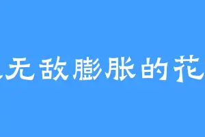 超级无敌膨胀的花枝丸