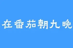 我在番茄朝九晚五