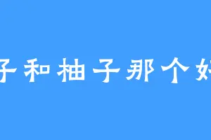 橙子和柚子那个好吃