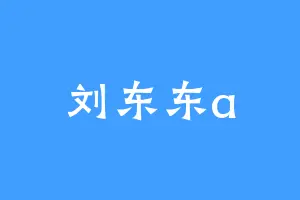 刘东东a