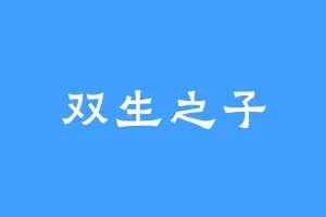 双生之子