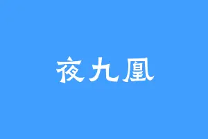 夜九凰