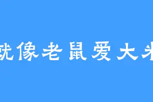 就像老鼠爱大米