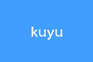 kuyu