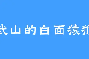 武山的白面猿猴