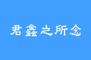 君鑫之所念