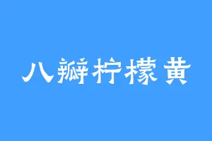 八瓣柠檬黄