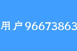 用户96673863