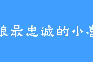 娘娘最忠诚的小喜子