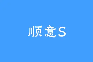 顺意S