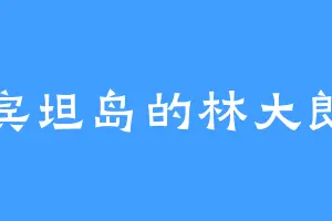 宾坦岛的林大郎