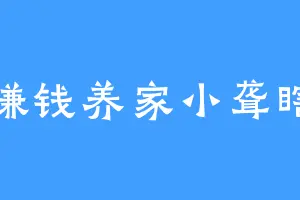 赚钱养家小聋瞎