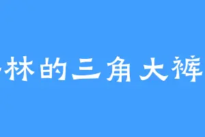 梅林的三角大裤衩