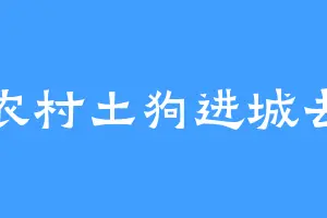 农村土狗进城去