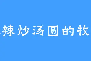 爱吃辣炒汤圆的牧风尘