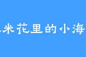 爆米花里的小海螺