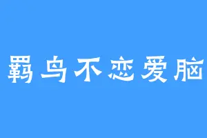 羁鸟不恋爱脑