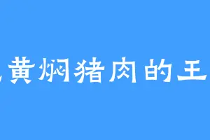 爱吃黄焖猪肉的王大喜