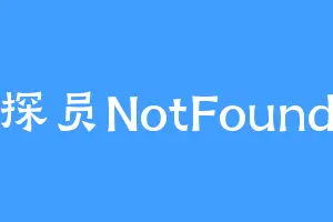探员NotFound