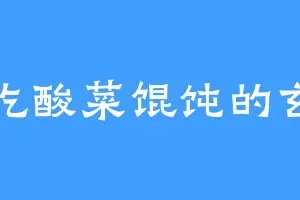 爱吃酸菜馄饨的玄羽
