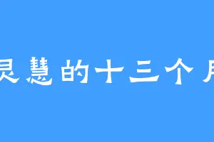 灵慧的十三个月