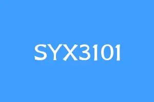 SYX3101