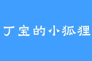 丁宝的小狐狸