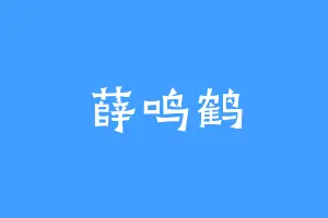 薛鸣鹤