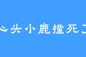 心头小鹿撞死了
