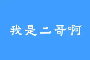 我是二哥啊