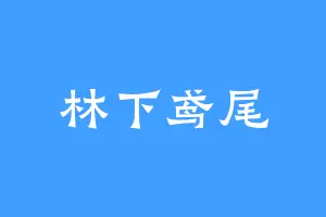 林下鸢尾