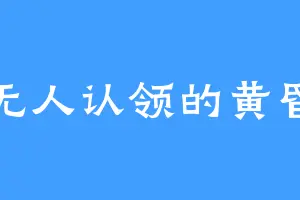 无人认领的黄昏
