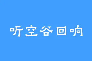 听空谷回响